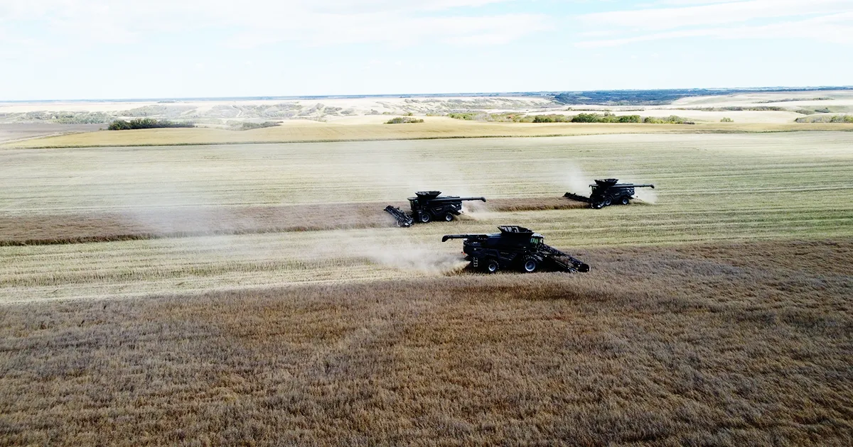3 combines harvesting field