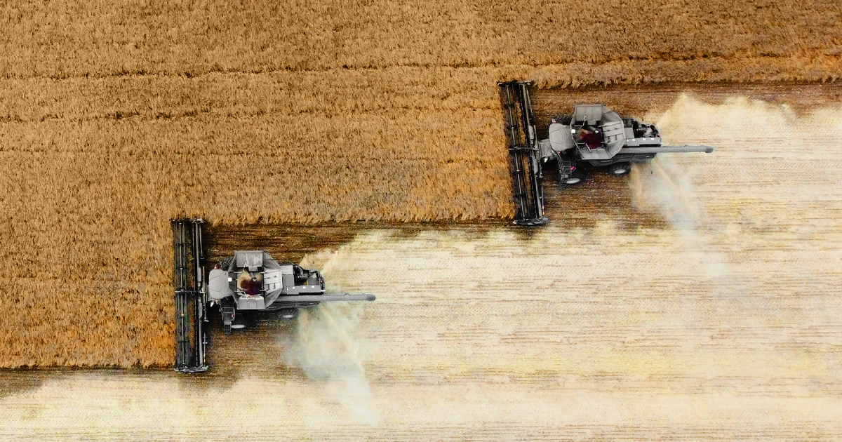 two combines harvesting field