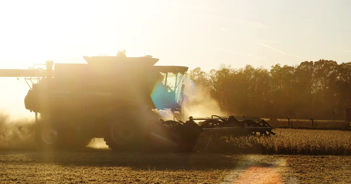 combine harvesting field