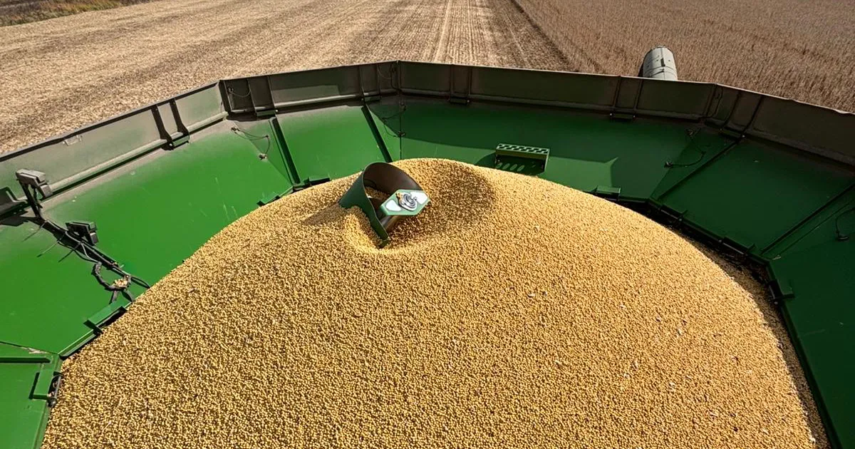 seed in combine hopper