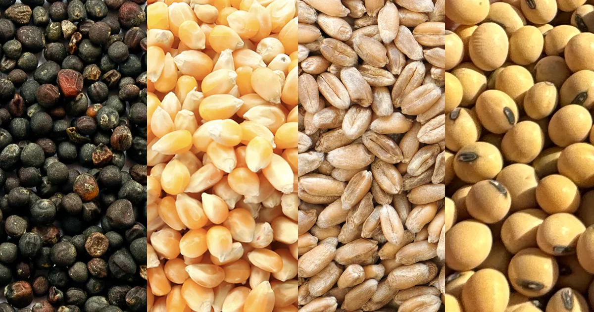 lineup of various crops