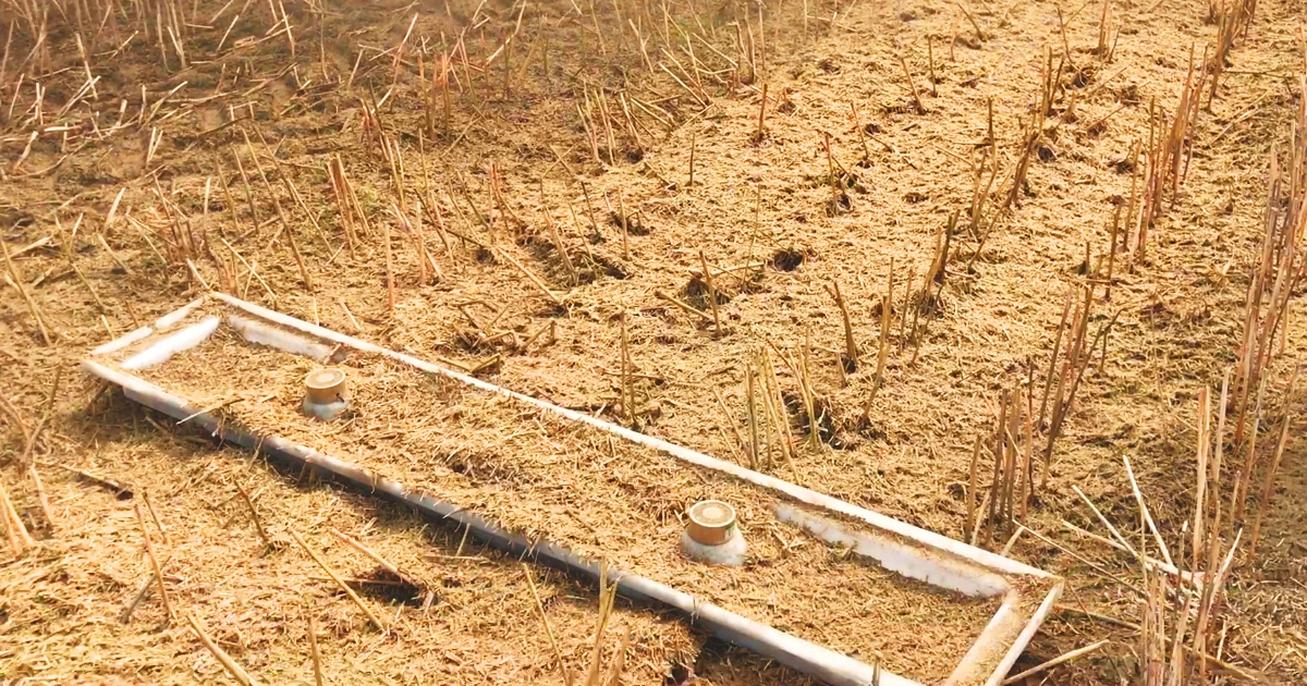 Sistema de solução drop pan Schergain em campo