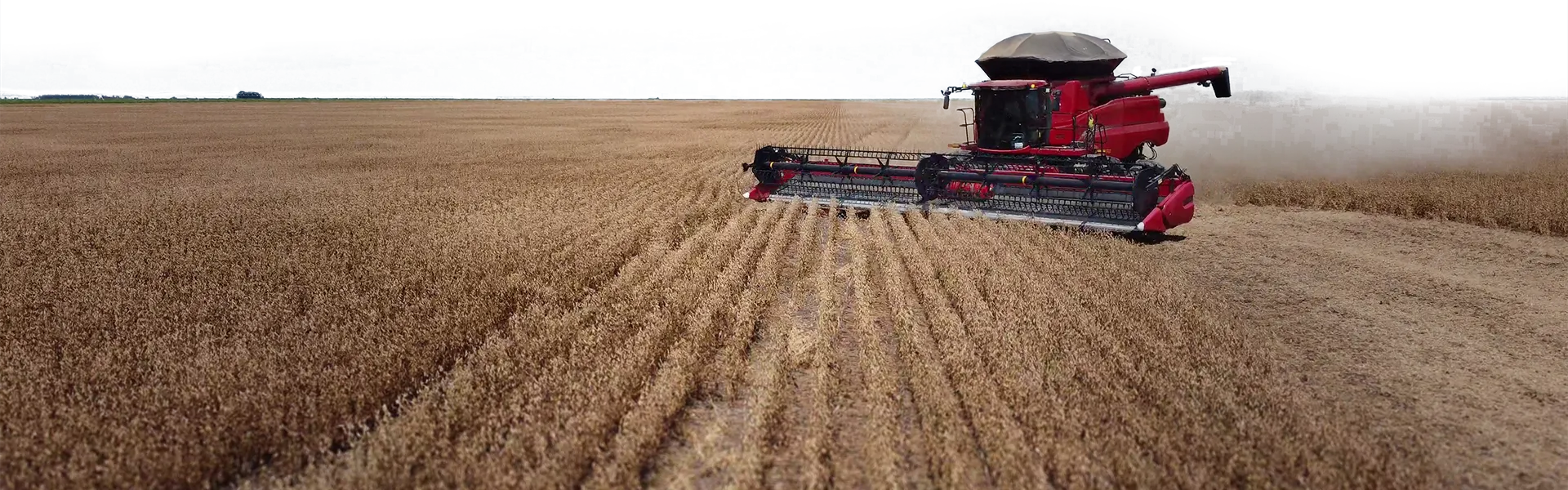 Case IH em lavoura de soja